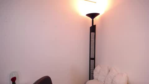 Snapshot of iamroxanne chatting on 17, 1, 2026 Camila online show from 17, 1, 2026