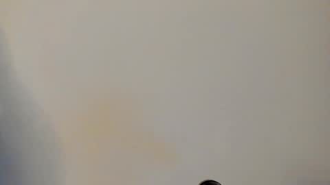 IAN CASTILLO online show from 24, 2, 2026