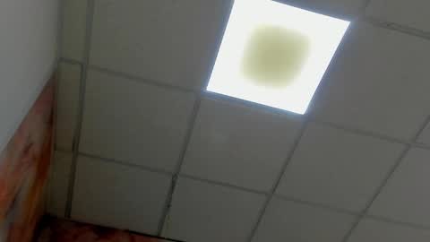 Idiris online show from 8, 3, 2025