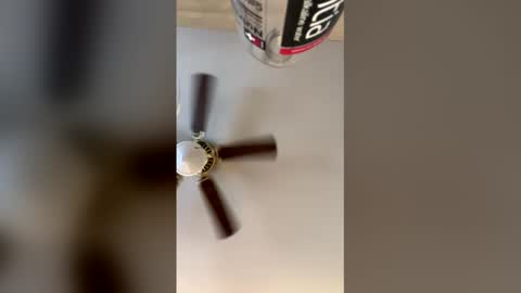 Snapshot of idkk_97 chatting on 29, 3, 2026 idkk_97 online show from 29, 3, 2026