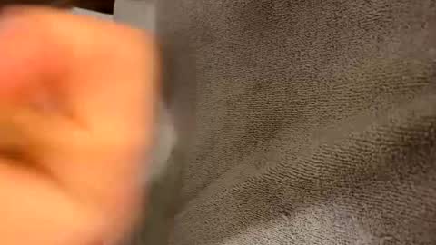 iltjoal69 online show from 5, 3, 2025