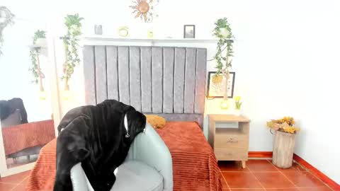 Snapshot of im_tulipan chatting on 25, 2, 2026 im_tulipan online show from 25, 2, 2026