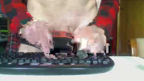 Snapshot of imaussiechris chatting on 21, 10, 2025 Aussie Guy online show from 21, 10, 2025