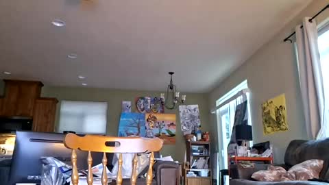 Iminyourroom online show from 17, 7, 2026