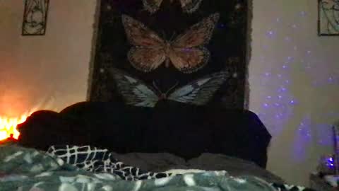 Snapshot of indigobay chatting on 10, 1, 2025 Indigo Bay online show from 10, 1, 2025