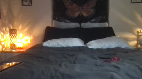 Snapshot of indigobay chatting on 16, 2, 2025 Indigo Bay online show from 16, 2, 2025