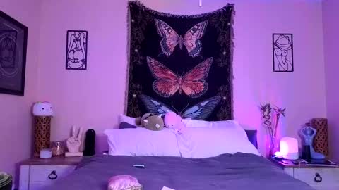 Indigo Bay online show from 11, 4, 2026