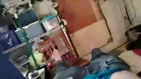 infantrycum91 online show from 8, 4, 2026