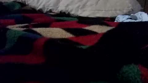 Snapshot of irishmikey87 chatting on 27, 3, 2026 McDick online show from 27, 3, 2026