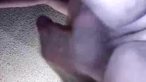 Snapshot of irishmikey87 chatting on 30, 3, 2026 McDick online show from 30, 3, 2026