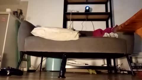 iron_cock40 online show from 24, 4, 2026