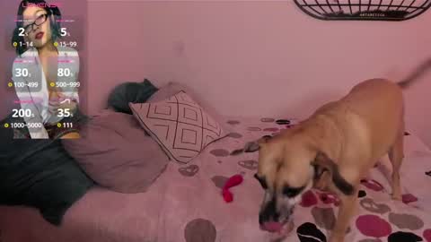 Isa online show from 4, 1, 2025