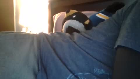 youngking online show from 3, 3, 2026