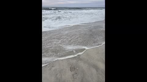 Jim online show from 2, 3, 2025