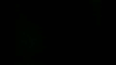 Snapshot of issazorro chatting on 18, 12, 2024 issazorro online show from 18, 12, 2024