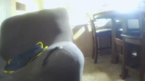 Snapshot of italythick chatting on 12, 7, 2026 italythick online show from 12, 7, 2026
