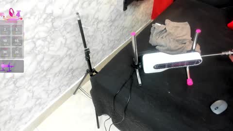 Ivis  online show from 13, 11, 2025