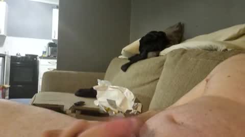 Big 8 online show from 17, 1, 2025