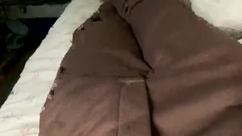 Snapshot of jaaltar chatting on 2, 2, 2026 Jaaltar online show from 2, 2, 2026