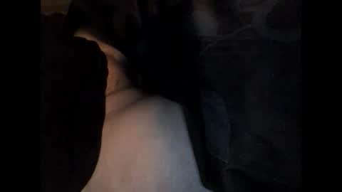 Snapshot of jaap08 chatting on 3, 12, 2024 speedy online show from 3, 12, 2024