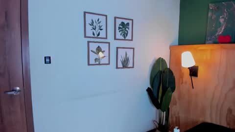 David online show from 25, 11, 2025