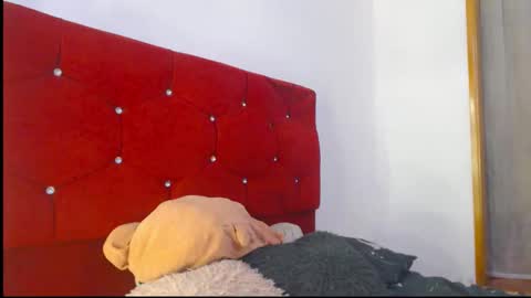 Snapshot of jack_s21 chatting on 1, 3, 2026 Laick online show from 1, 3, 2026