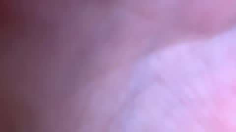 Snapshot of jackjackerman chatting on 2, 12, 2025 jackjackerman online show from 2, 12, 2025