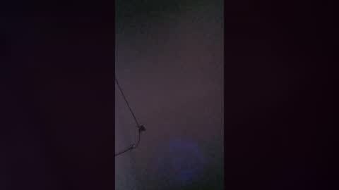 Snapshot of jaimepasivo777 chatting on 13, 7, 2026 jaimepasivo777 online show from 13, 7, 2026
