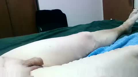 Snapshot of jakscoral chatting on 26, 1, 2025 Jaks online show from 26, 1, 2025