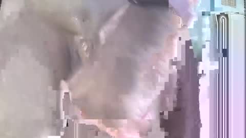 jack online show from 21, 9, 2025