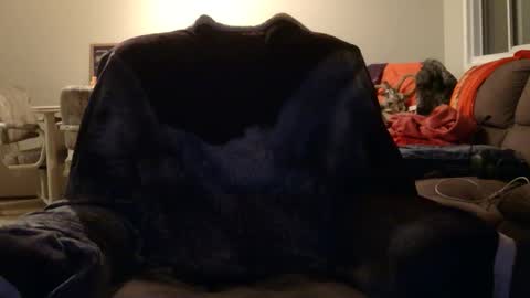 jameswolf777 online show from 12, 11, 2025