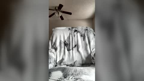 jameswolf777 online show from 7, 4, 2026