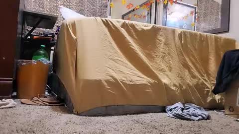 Bootyshows online show from 2, 12, 2025