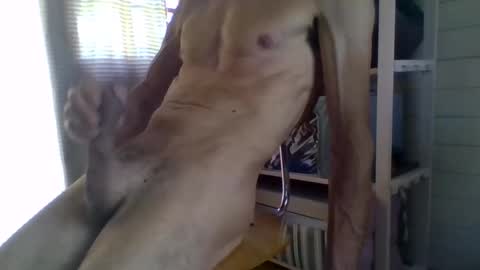Snapshot of janzibor chatting on 26, 5, 2026 janzibor online show from 26, 5, 2026