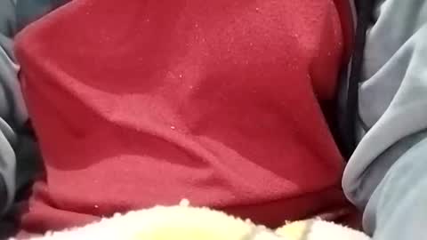 jasspreettt online show from 30, 1, 2025