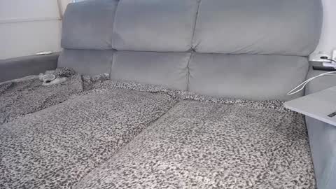 Javier  online show from 5, 12, 2024