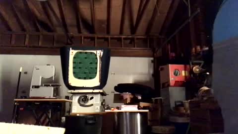 Snapshot of jawssharkparty chatting on 11, 10, 2025 Jaws  online show from 11, 10, 2025