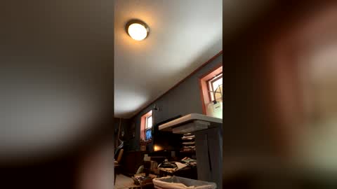 Jaws  online show from 17, 1, 2026