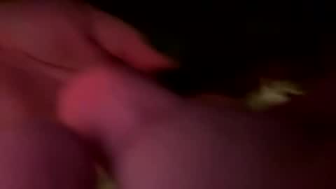 Jaws  online show from 21, 2, 2026