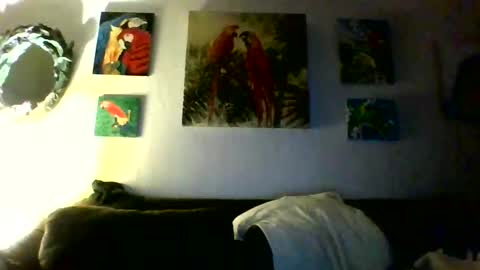 Snapshot of jay_jay1475 chatting on 31, 1, 2026 jay-jay1475 online show from 31, 1, 2026