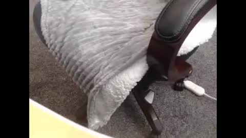 sissy gurl online show from 27, 10, 2025