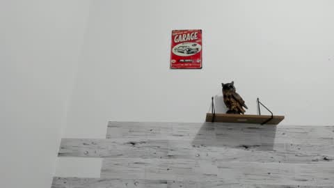 Jaycreedd online show from 21, 11, 2025