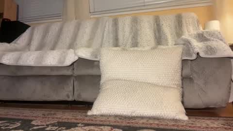 JB online show from 26, 10, 2025