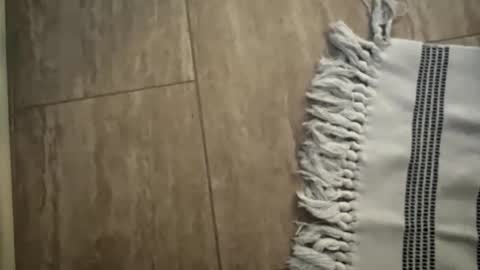 Snapshot of jbigblue chatting on 11, 1, 2026 jbigblue online show from 11, 1, 2026