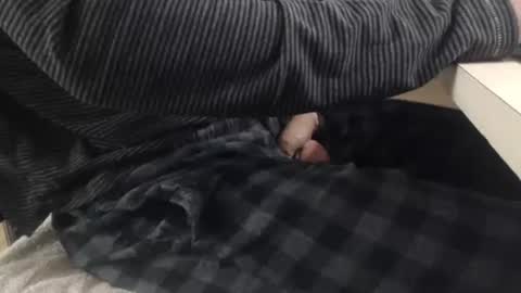 jc200000 online show from 3, 11, 2025