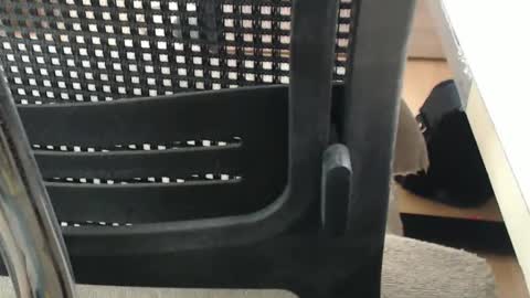 jc200000 online show from 16, 4, 2026