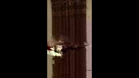 jedpiazza163893 online show from 25, 5, 2026