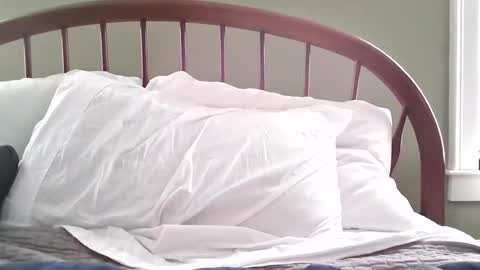 jerkingmanforyou online show from 15, 3, 2026