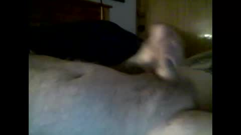 jerkmate6666 online show from 4, 12, 2025