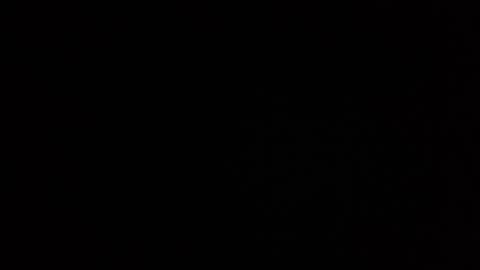 roee online show from 28, 12, 2024